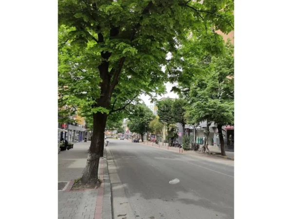 Tirane, jepet me qera ambjent biznesi Kati -1, 181 m² 2.000 € (Blloku ENT142476)