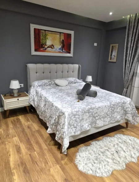 Tirane, jepet me qera apartament 1+1 , 70 m² 650 € (RRUGA KOSOVAREVE)