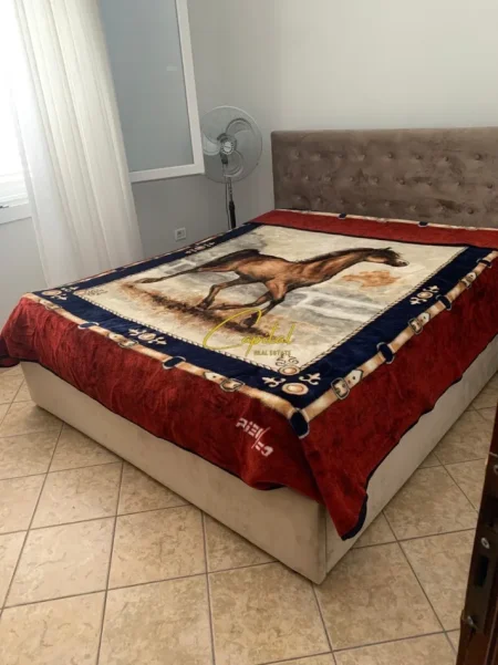 Tirane, jepet me qera shtepi 1+1 Kati 2, 40 m² 350 € (RRUGA JORDAN MISJA)