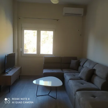 Tirane, jepet me qera apartment 1+1+parkim 350  edhe garzhoniera +parkim 280  (Rruga aleks caci   shkoze)