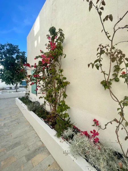 Vlore, shitet apartament 1+1+Ballkon Kati 2, 57 m² 278.000 € (Dhermi)