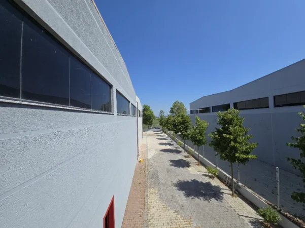 Tirane, jepet me qera magazine , 1.000 m² 3.200 € (Vorë)