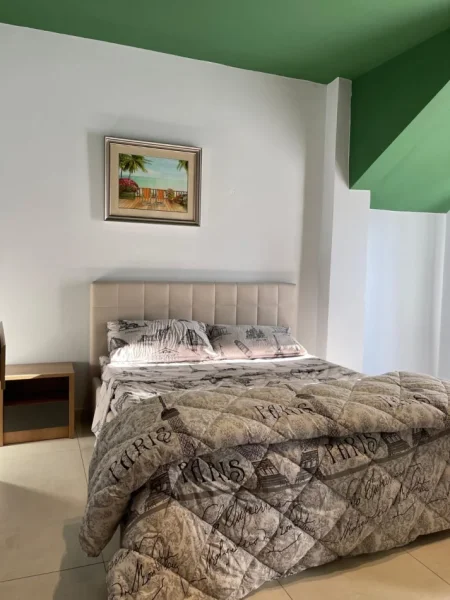 Tirane, jepet me qera apartament 1+1 Kati 1, 65 m² 500 € (Spitali Amerikan 2)