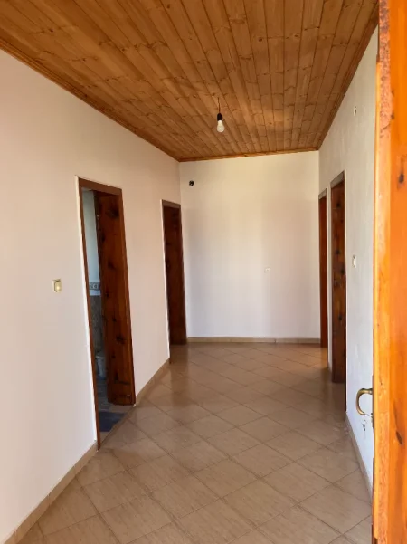 Tirane, jap me qera apartament 2+1+Ballkon Kati 2, 350 € (Luan peza)