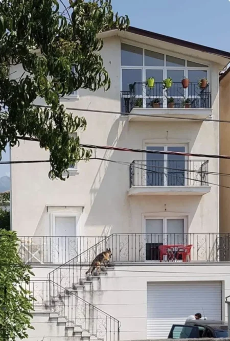 Tirane, jepet me qera Vile 2+1+Ballkon Kati 1, 120 m² 55000 leke