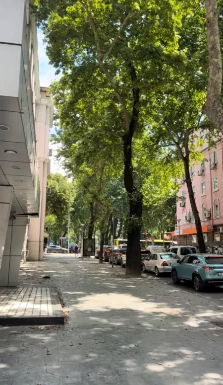 Tirane, jepet me qera ambjent biznesi Kati 0, 80 m² (Myslym Shyr)