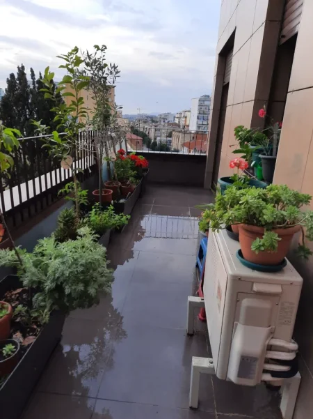 Tirane, jap me qera apartament 2+1+Aneks+Ballkon Kati 5, 100 m² 700 € (Rruga barrigadave)