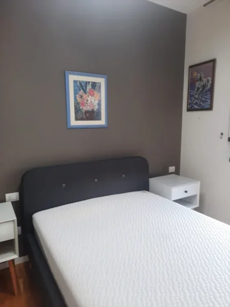 Tirane, jap me qera apartament 2+1+Aneks+Ballkon Kati 5, 100 m² 700 € (Rruga barrigadave)