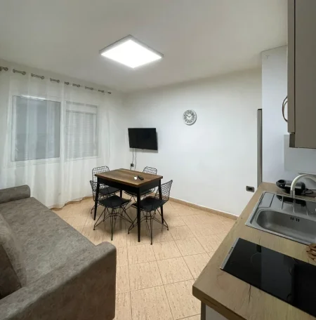 Tirane, jepet me qera apartament 1+1 , 450 € (Rruga e Kavajes)