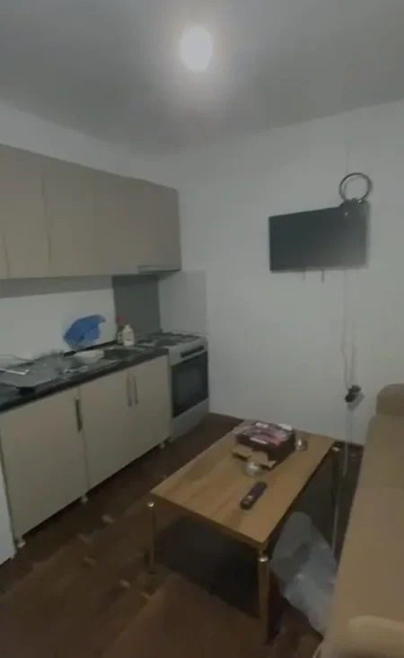Tirane, jepet me qera apartament 1+1 Kati 1, 45 m² 300 € (Liqeni i Paskuqanit)