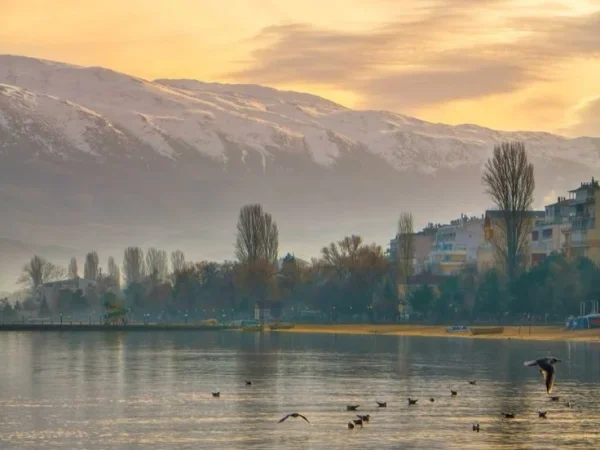 Pogradec, shitet apartament 2+1 Kati 7, 91 m² 108.600 € 