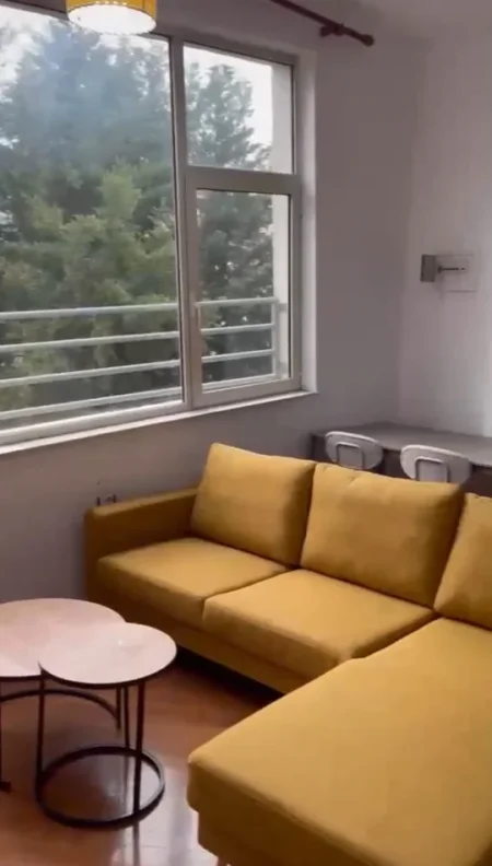 Tirane, jepet me qera apartament 1+1 Kati 3, 65 m² 450 € 