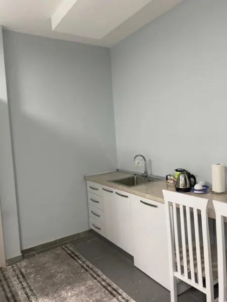 Tirane, jepet me qera apartament 1+1 Kati 2, 35 m² 400 € (Rruga e Kavajës)