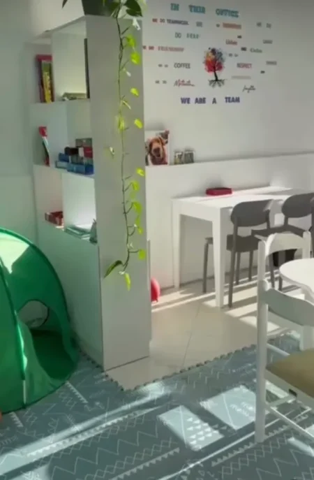 Tirane, jepet me qera ambjent biznesi , 600 € (Rruga Petro Nini Luarasi)