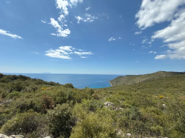 Vlore, shitet truall , 5.000 m² 400.000 € (GJipe himar)