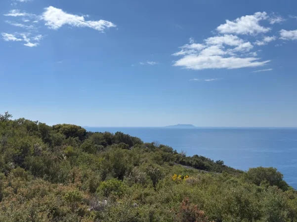 Vlore, shitet truall , 5.000 m² 400.000 € (GJipe himar)