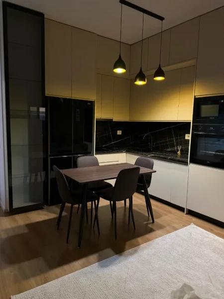 Tirane, jepet me qera apartament 1+1 Kati 5, 67 m² 420 € (Ali Demi)