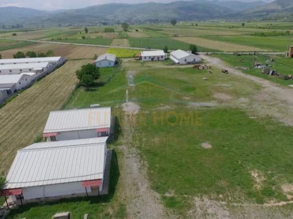 Korce, shitet ambjent biznesi 25.000 m² 1.300.000 Euro (Goskovë E Poshtme, Korcë.)