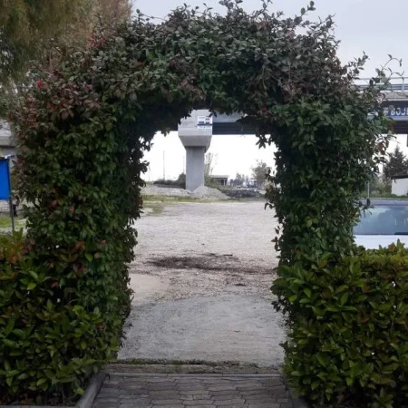 Fier, jap me qera Bar Restorant EUKALIPSET