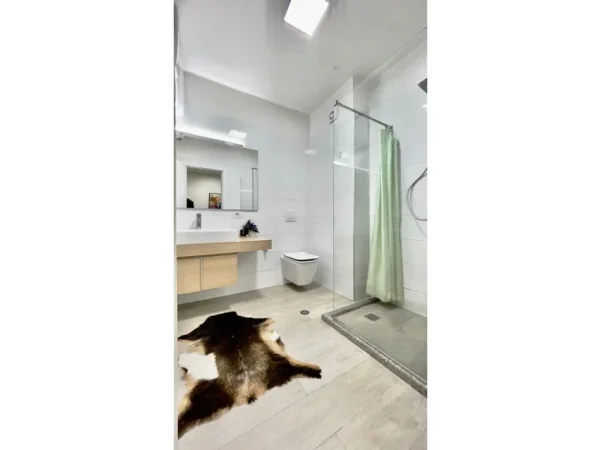 Tirane, jap me qera apartament 1+1 Kati 2, 76 m² 650 € (Rruga e Kavajes)