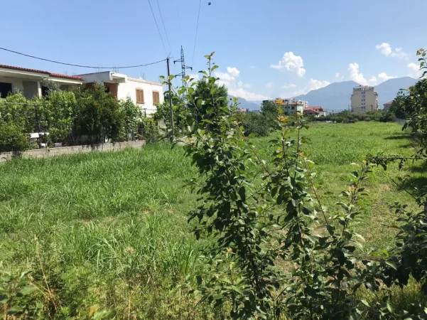 Borsh, shitet truall , 1.000 m² 145.000 € (Plazh Borsh)
