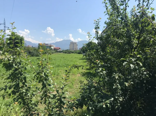 Borsh, shitet truall , 1.000 m² 145.000 € (Plazh Borsh)