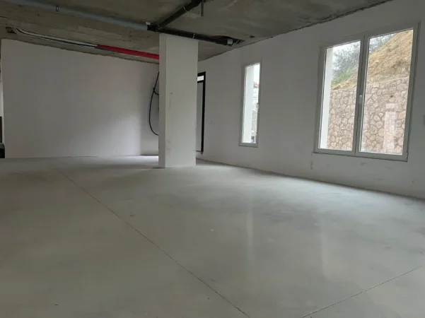 Tirane, shitet ambjent biznesi Kati 0, 300 m² 830.000 € (Selite)
