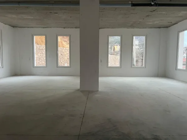 Tirane, shitet ambjent biznesi Kati 0, 300 m² 830.000 € (Selite)