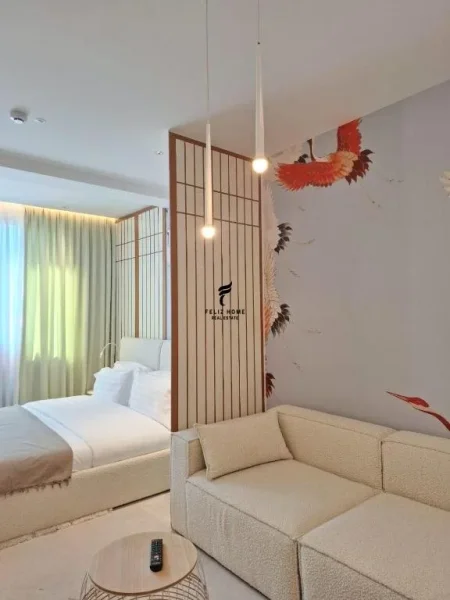 Tirane, jepet me qera apartament 1+1 , 6.500 € (MINE PEZA)