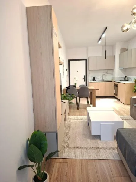 Tirane, jepet me qera apartament 1+1 , 6.500 € (MINE PEZA)