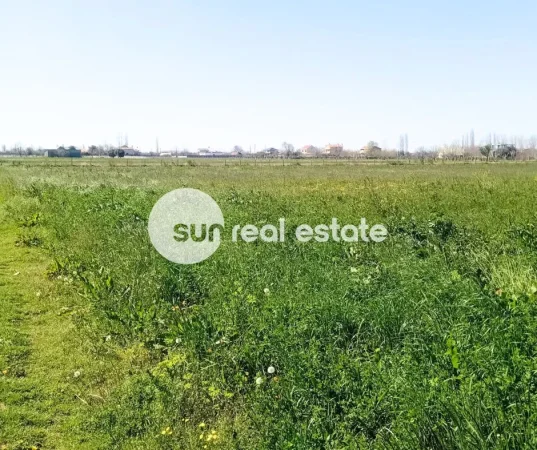 Lezhe, shitet toke , 10.000 m² 400.000 € (TALE, LEZHE)