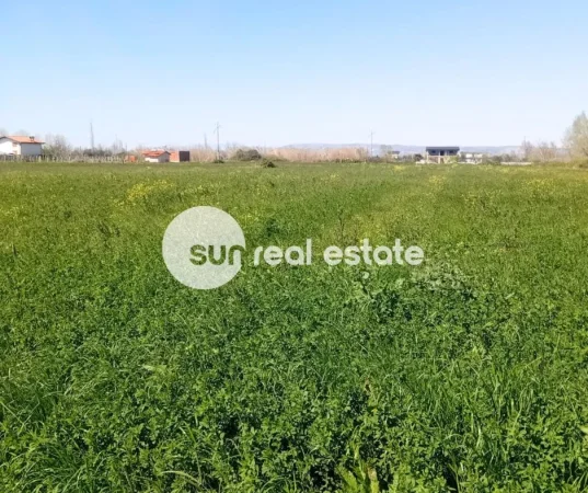 Lezhe, shitet toke , 10.000 m² 400.000 € (TALE, LEZHE)