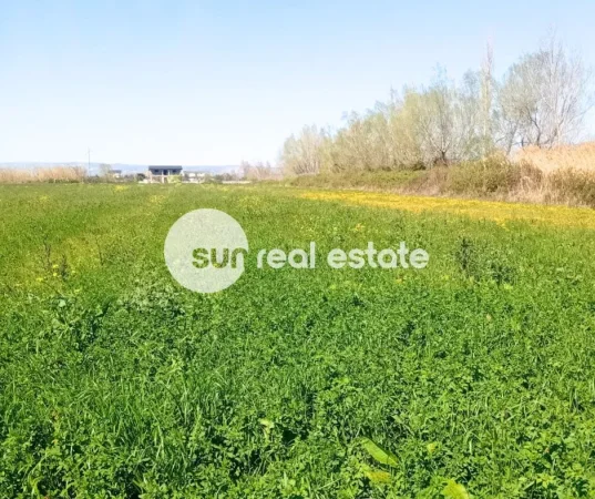 Lezhe, shitet toke , 10.000 m² 400.000 € (TALE, LEZHE)