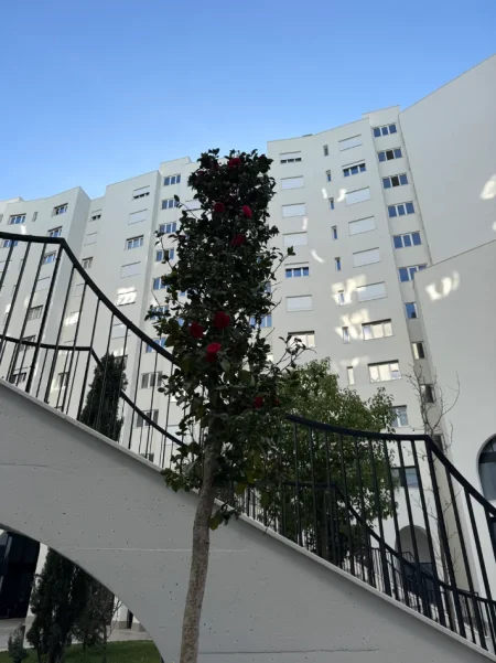 Tirane, jepet me qera apartament 1+1+Ballkon , 35 € (River Residence, Eglo, Green City)