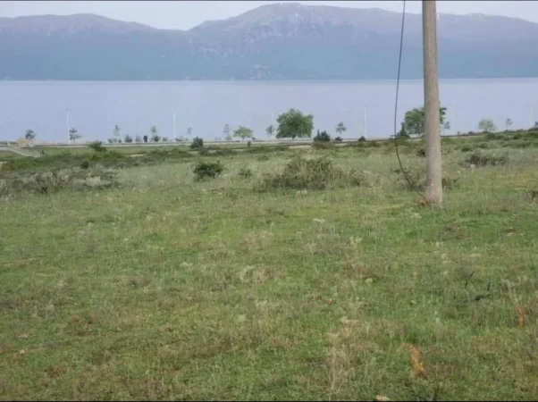 Borsh, shitet toke , 1.000 m² 147.000 € (ne Borsh Himare.)