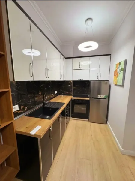 Tirane, jepet me qera apartament 1+1 Kati 7, 530 € (Astir)