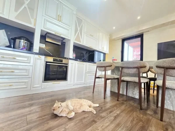 Tirane, shitet apartament 3+1 , 200 m² 