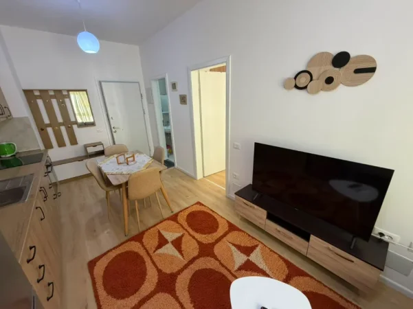 Tirane, jepet me qera apartament 1+1 Kati 5, (Ali Demi)