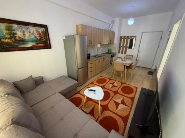 Tirane, jepet me qera apartament 1+1 Kati 5, (Ali Demi)