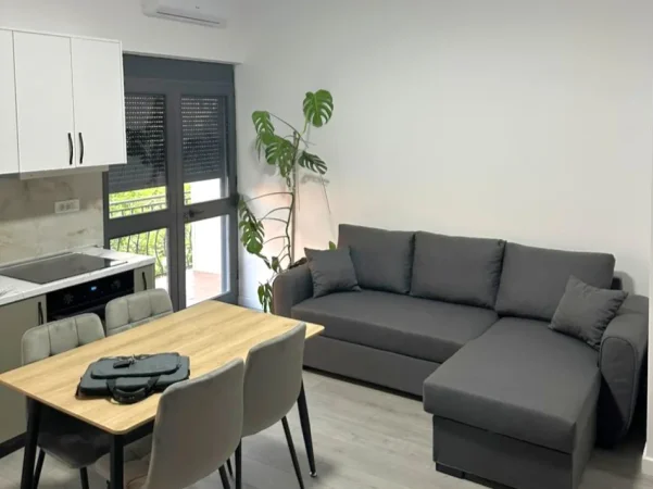 Tirane, jepet me qera apartament 1+1+Ballkon Kati 3, 50 m² 470 € 