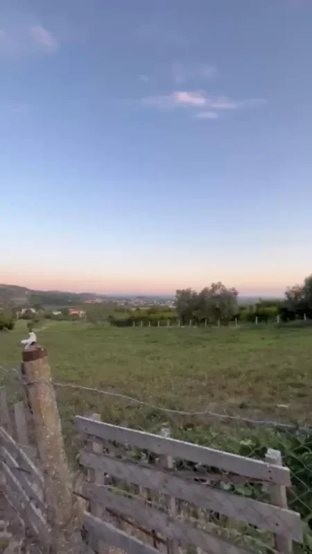 Durres, shitet toke , 2.330 m² (Manëz)
