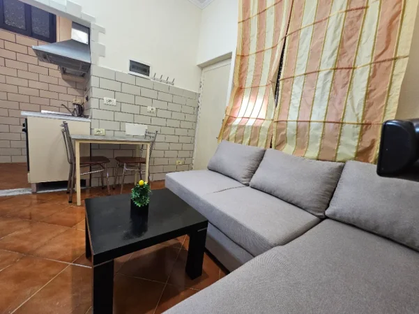 Tirane, jap me qera apartament 1+1 Kati 1, 50 m² 350 € (Rruga gjon mili)