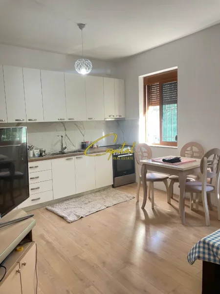 Tirane, jepet me qera apartament 2+1 Kati 1, 120 m² 450 € (SELITE)
