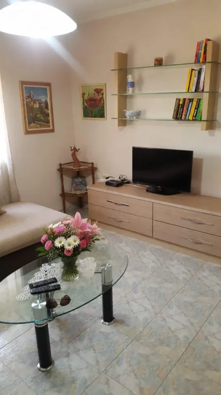 Tirane, jepet me qera apartament 1+1 Kati 3, 65 m² 500 € (Rruga e Elbasanit)