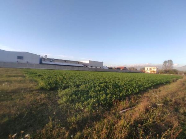 Tirane, shes toke 4.000 m² 400.000 Euro (Bërxullë, prane MEGATEK, Rr. Rinasit)