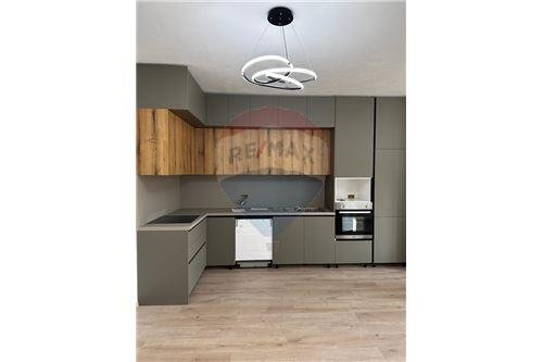 Tirane, jepet me qera apartament 1+1 70 m² 700 Euro (Park life)