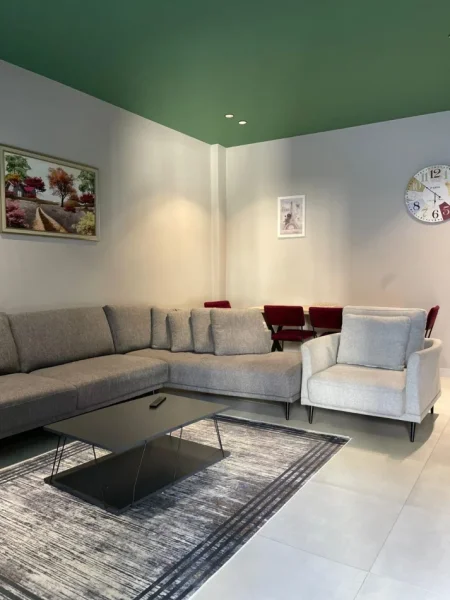 Tirane, jepet me qera apartament 1+1 Kati 1, 65 m² 480 € (Spitali Amerikan 2)