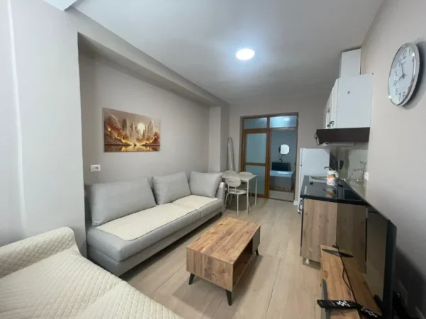 Tirane, jepet me qera apartament 1+1 Kati 0, 400 € (Fusha Ali Demi)
