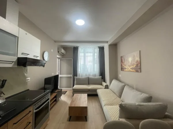 Tirane, jepet me qera apartament 1+1 Kati 0, 400 € (Fusha Ali Demi)