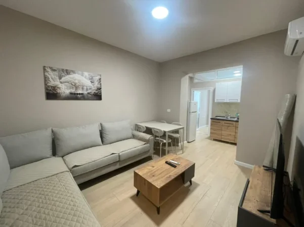Tirane, jepet me qera apartament 1+1 Kati 0, 450 € (Fusha Ali Demi)